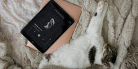 Chat détendu allongé à côté d'une tablette qui diffuse de la musique